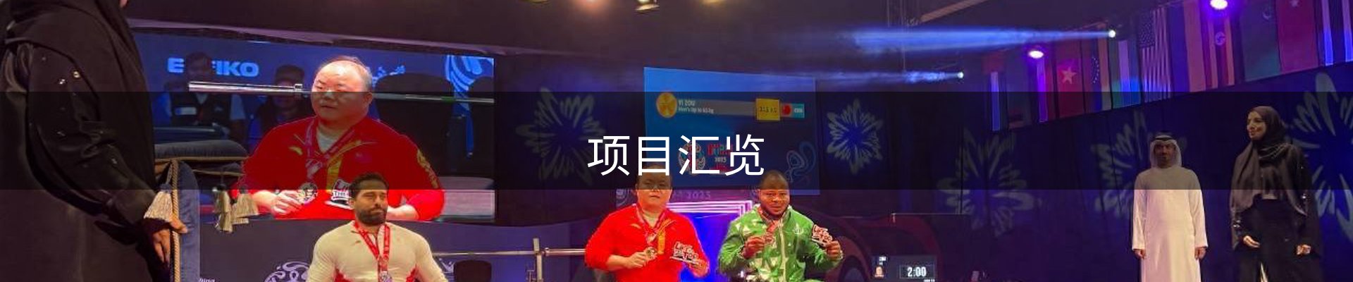 项目汇览